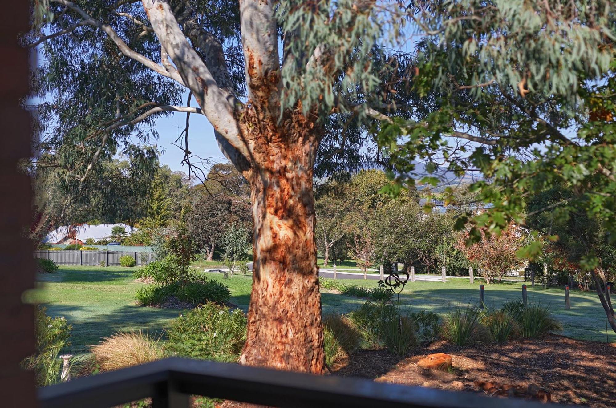 Motel Yarra Gables à Healesville Extérieur photo